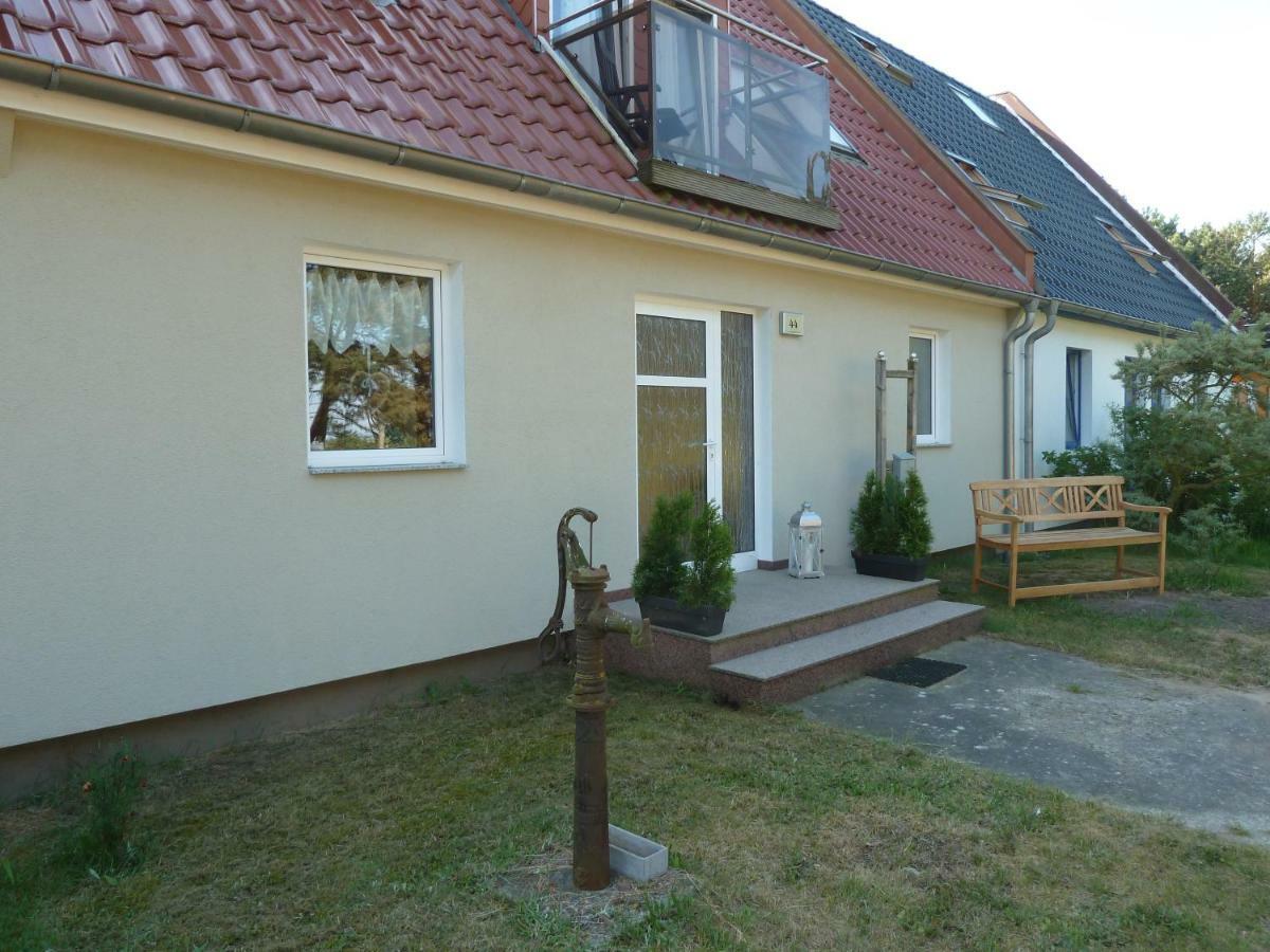 Romantisches Ferienhaus Boddenblick Mit Sauna Pruchten Kültér fotó